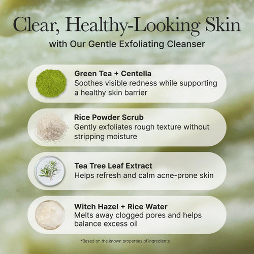 ARENCIA - Fresh Green Rice Mochi Cleanser [2025 Version - 120g]